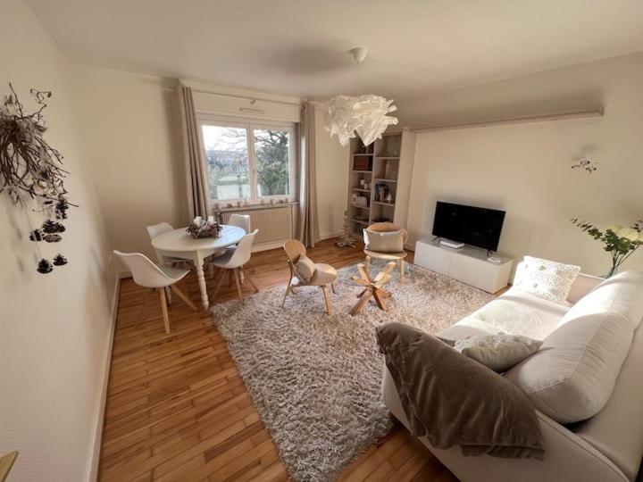 Appartement Chez Fabie Selestat Exterior photo