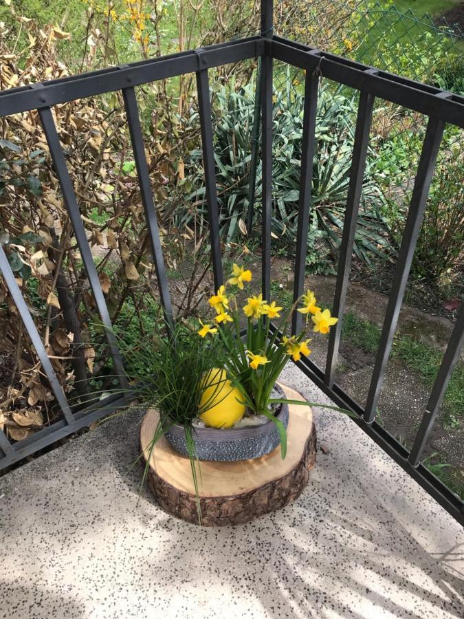Appartement Chez Fabie Selestat Exterior photo